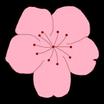 WWW,sss10·COM网站APPAPP应用